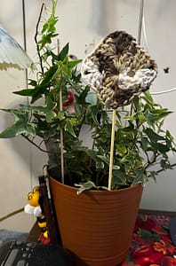 Granny square plant stake
