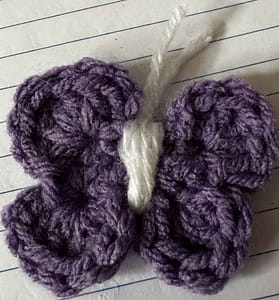 butterfly magnet