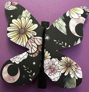 butterfly magnet