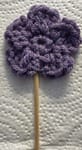 purple flower